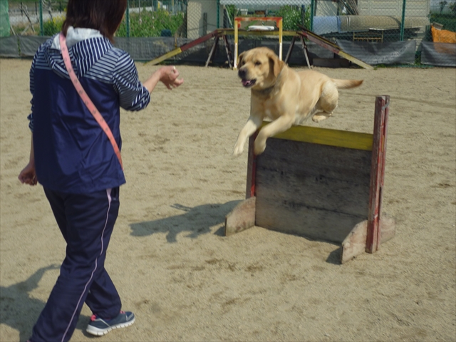 お泊りスクール風景