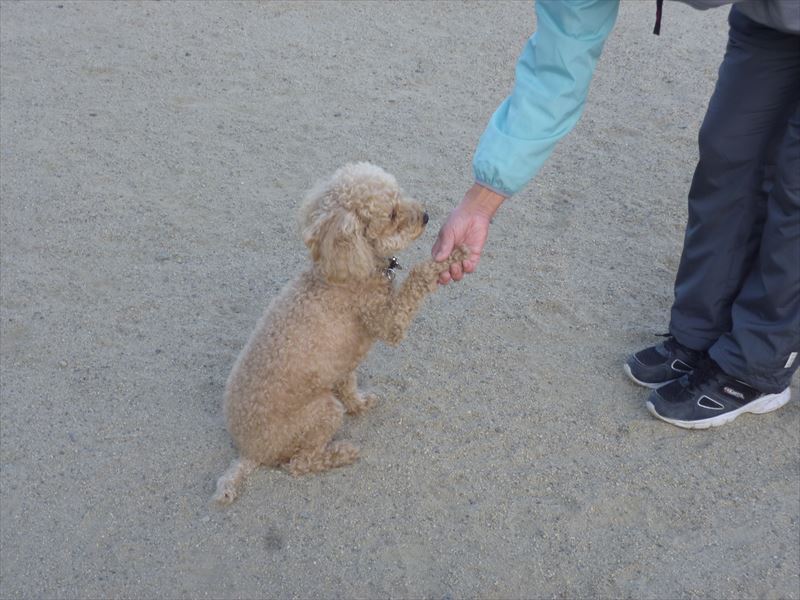 出張スクール風景