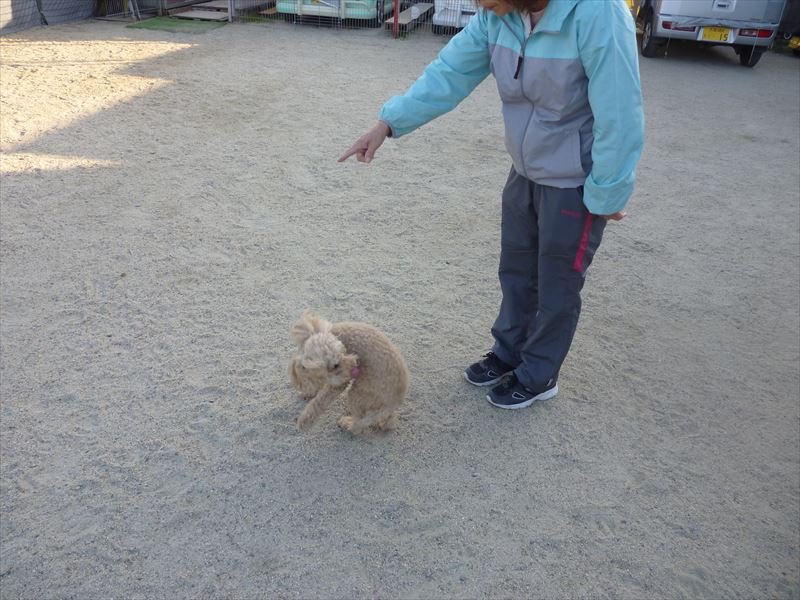 出張スクール風景