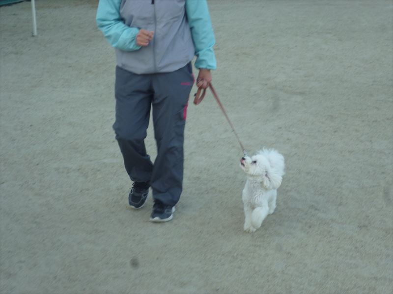 出張スクール風景