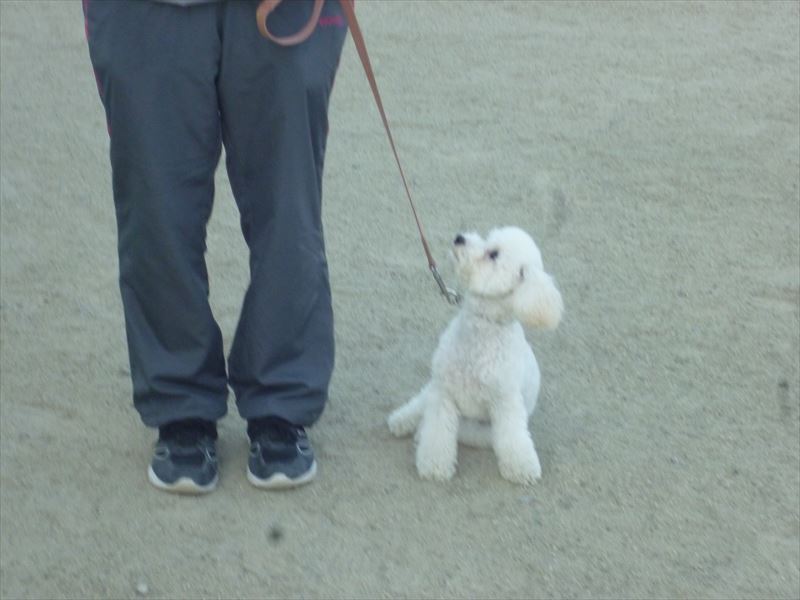 出張スクール風景