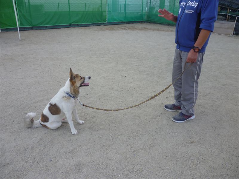 出張スクール風景