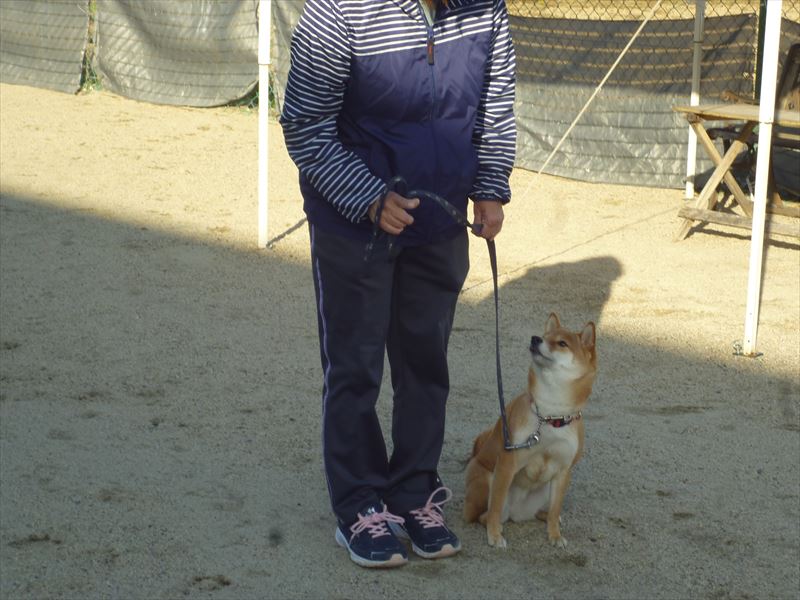 出張スクール風景