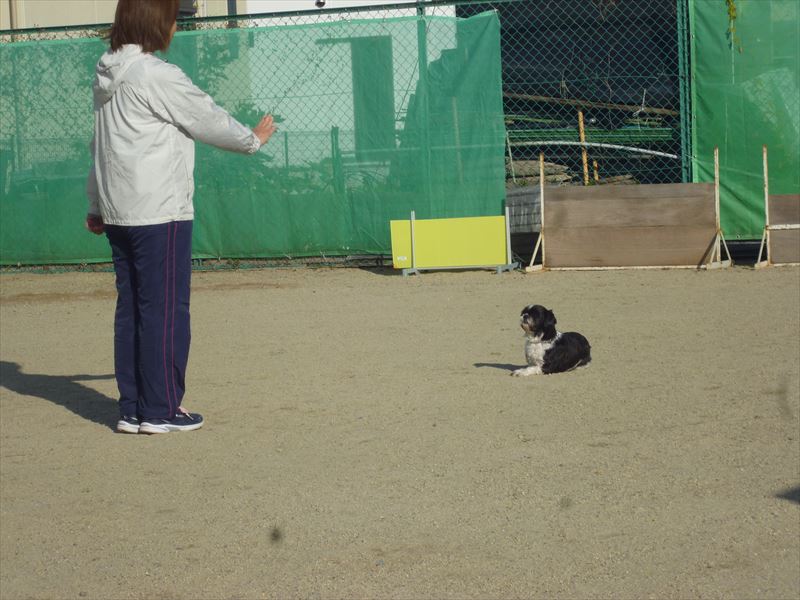出張スクール風景