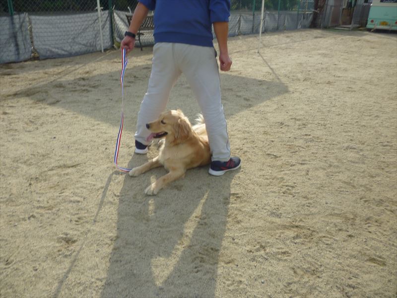 お泊りスクール風景