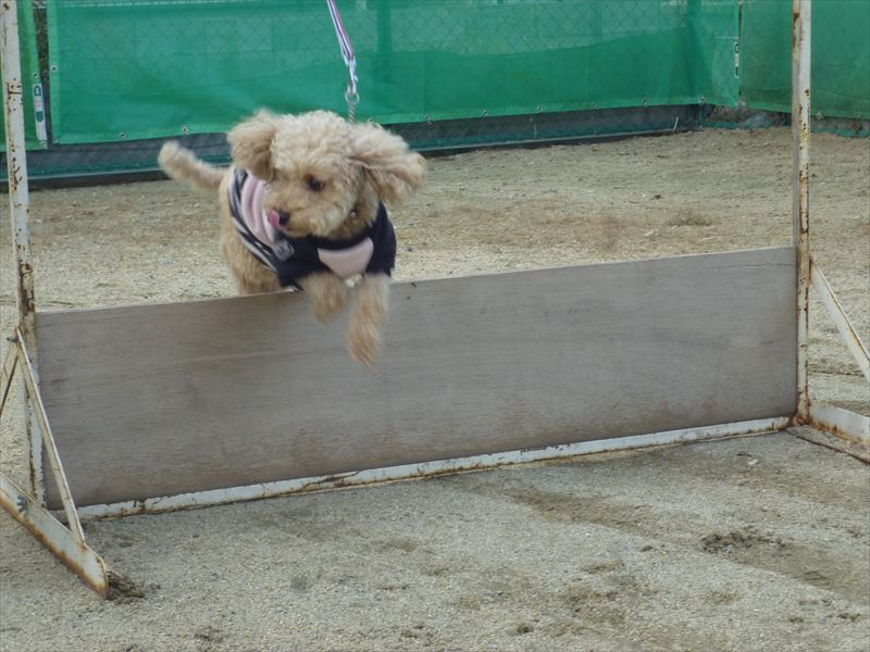 出張スクール風景