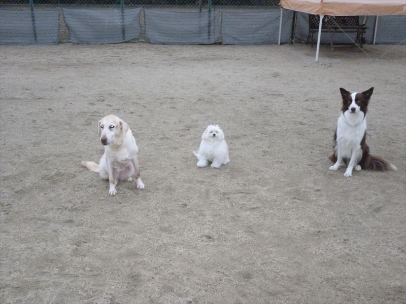 お泊りスクール風景