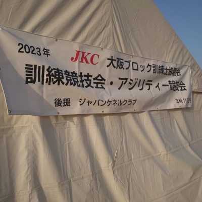 DSC_0433.JPG
