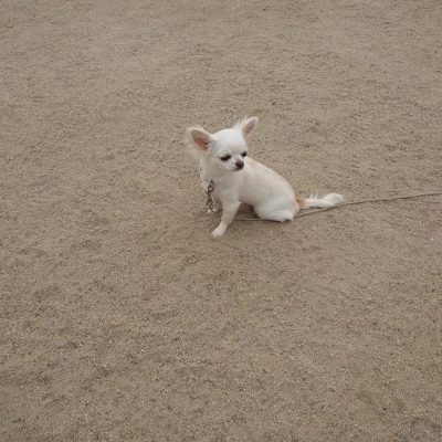 DSC_0380_2.JPG