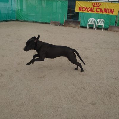 DSC_0380_3.JPG