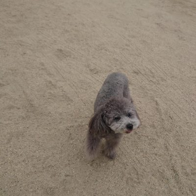 DSC_0381_2.JPG