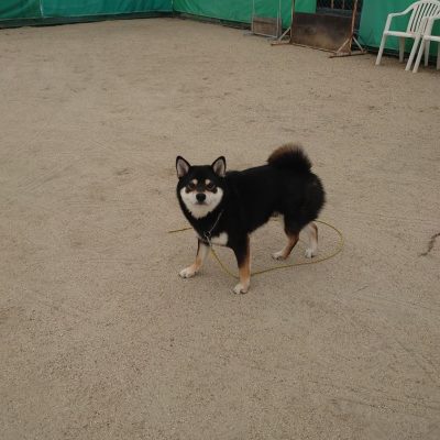 DSC_0387_2.JPG