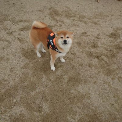 DSC_0388_3.JPG