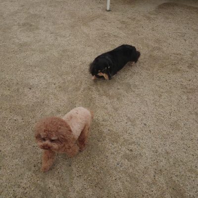 DSC_0395_2.JPG