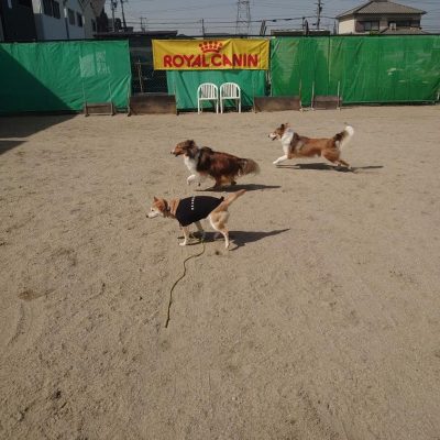 DSC_0399_2.JPG