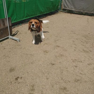 DSC_0386_4.JPG