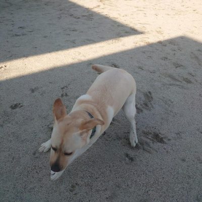 DSC_0388_2.JPG