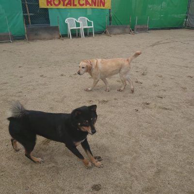 DSC_0394_2.JPG