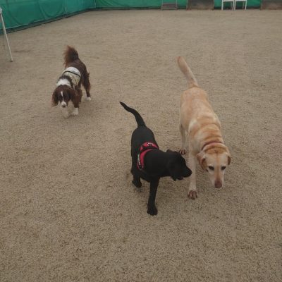 DSC_0411.JPG