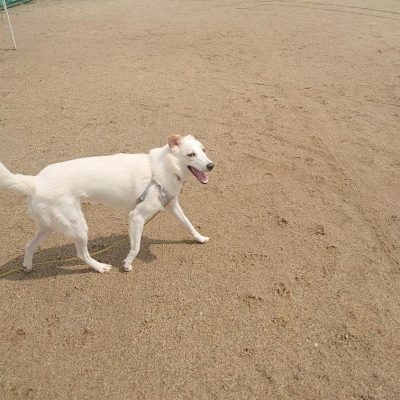 DSC_0393.JPG