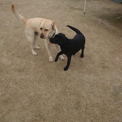 DSC_0418.JPG