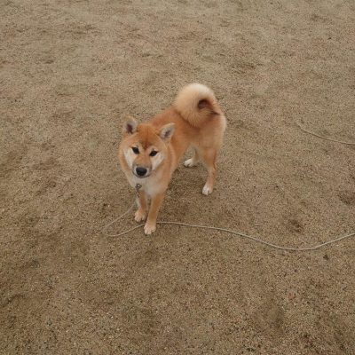 DSC_0421.JPG