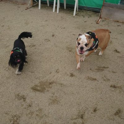 DSC_0394.JPG