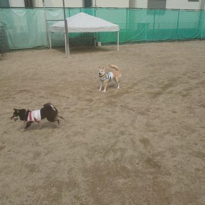 DSC_0402_4.JPG