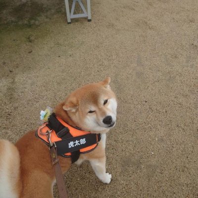DSC_0411.JPG
