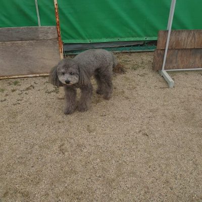 DSC_0512.JPG
