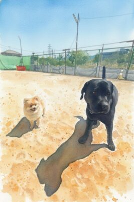 20260511_100348-IMG_STYLE.jpg
