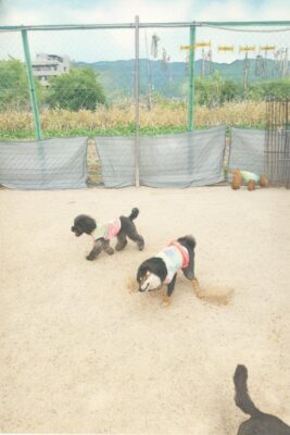 20260514_144823-IMG_STYLE.jpg