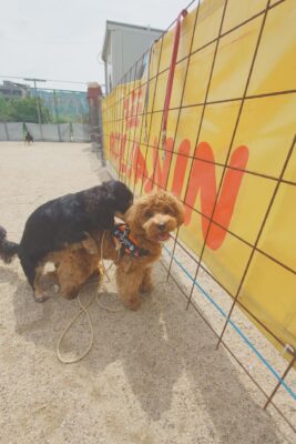 20260606_094601.JPG