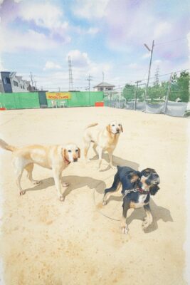 20260606_141817-IMG_STYLE.jpg