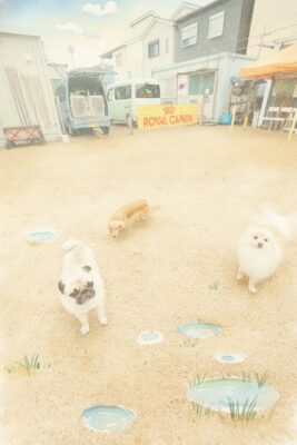 20260609_094637-IMG_STYLE.jpg