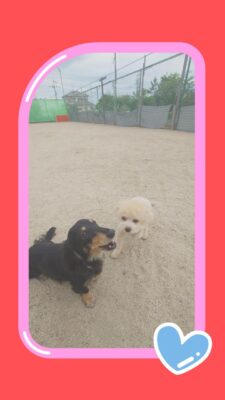 20260615_143640-COLLAGE.jpg