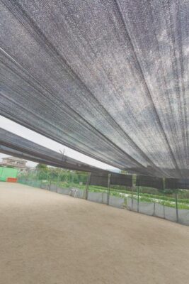 20260714_085902.JPG