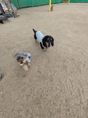 PXL_20260902_051132518.jpg
