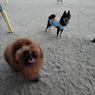 saved_file_1790211269790.JPG