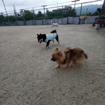 saved_file_1790211304482.JPG