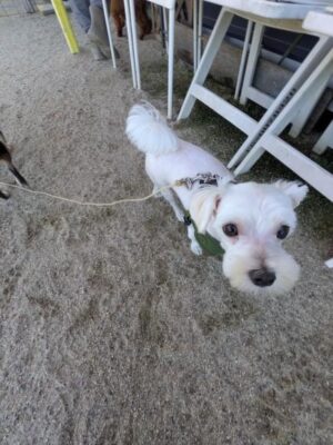 PXL_20261001_060322960MP.jpg