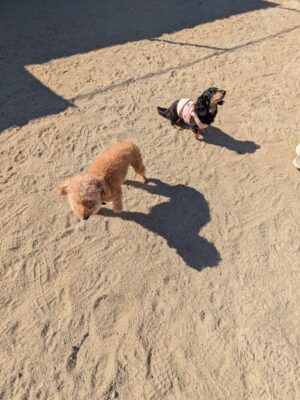 PXL_20261017_051606303~2.jpg