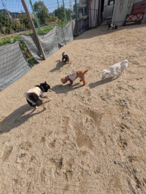 PXL_20261029_050910455.jpg