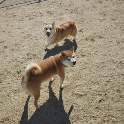 saved_file_1791505536188.JPG