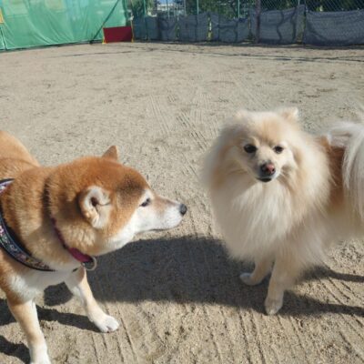 saved_file_1791505545129.JPG