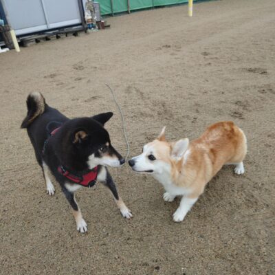 saved_file_1791933058835.JPG
